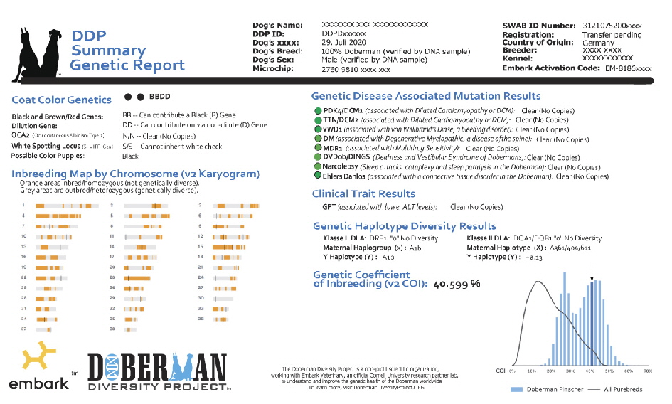 Ddp Summary Report Webside english