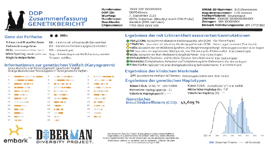 Ddp Summary Website deutsch